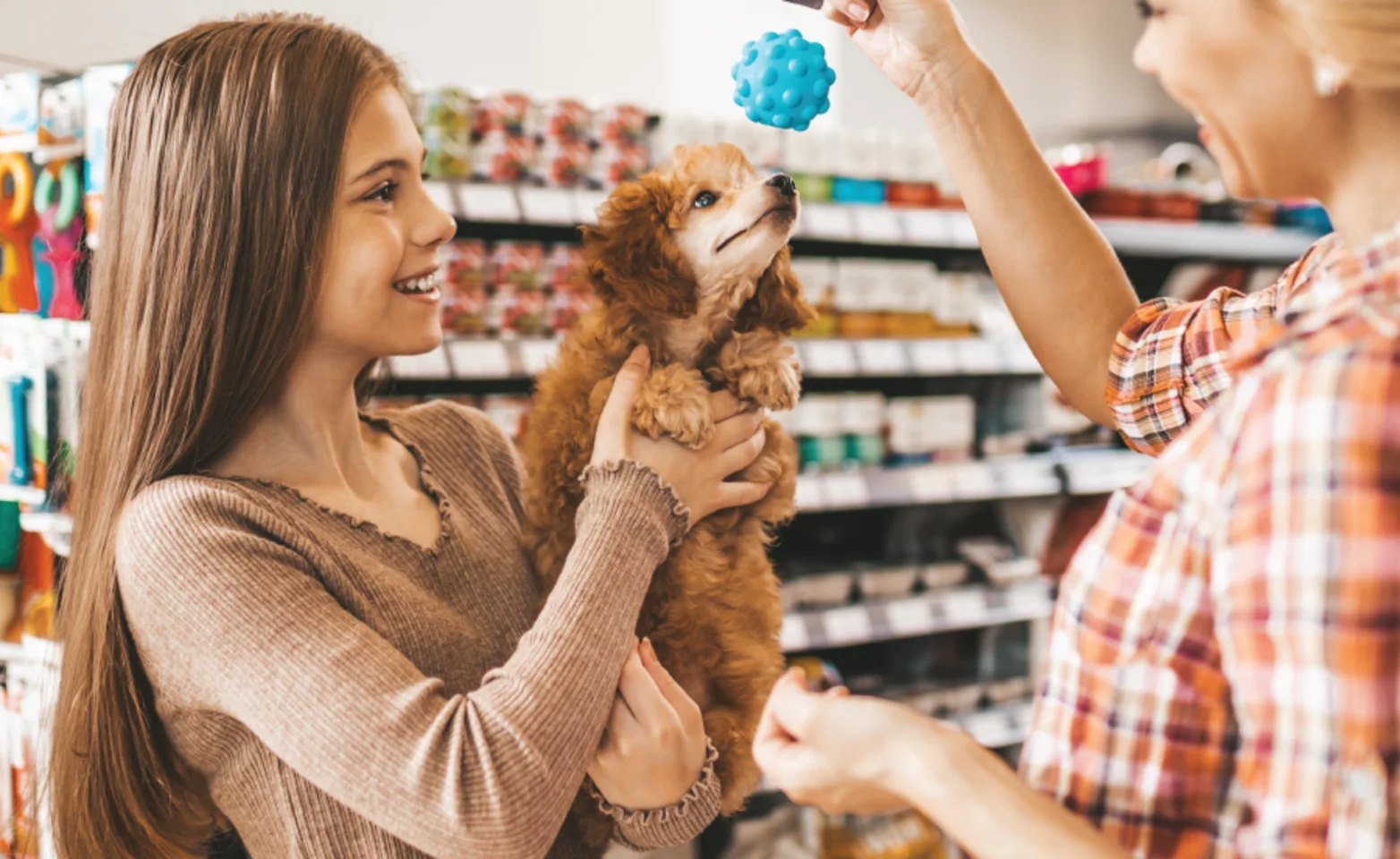 Girl holding dog and dog trying to play with toy Girl holding dog and dog trying to play with toy