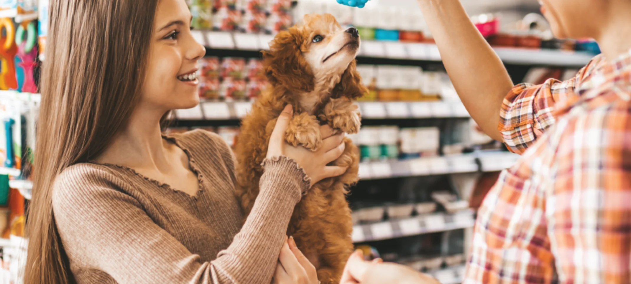 Girl holding dog and dog trying to play with toy Girl holding dog and dog trying to play with toy