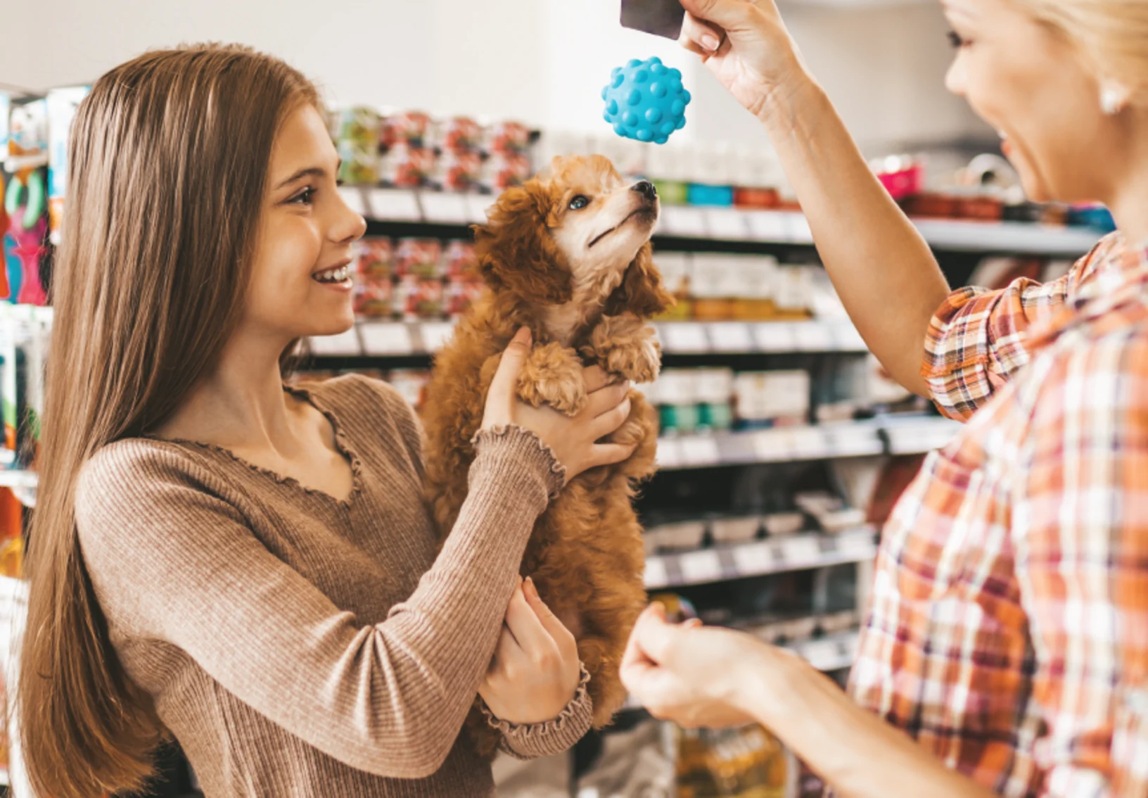 Girl holding dog and dog trying to play with toy