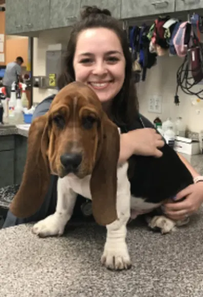 Abby Pet Hospital - Wellness Care - Dog Abby Pet Hospital - Wellness Care - Dog