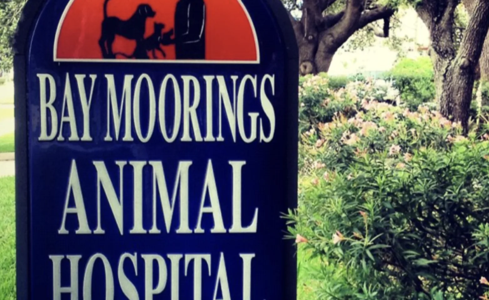 Bay Moorings Animal Hospital 