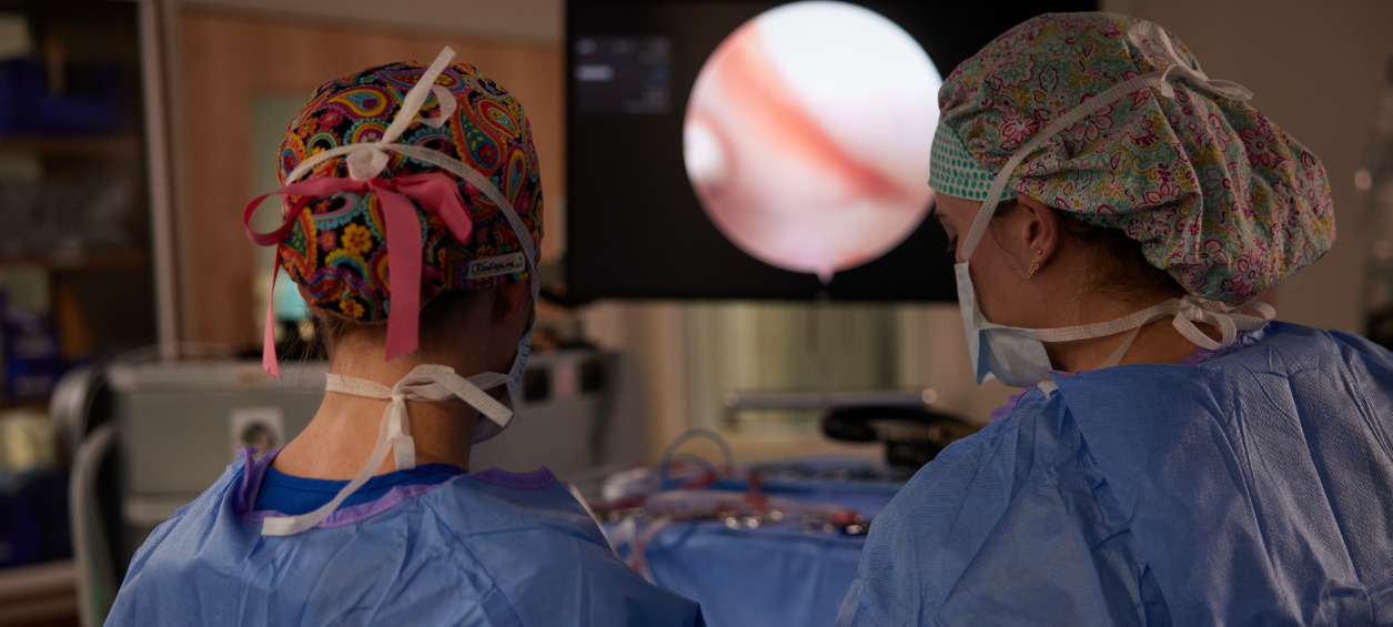 Vets Examining Patient