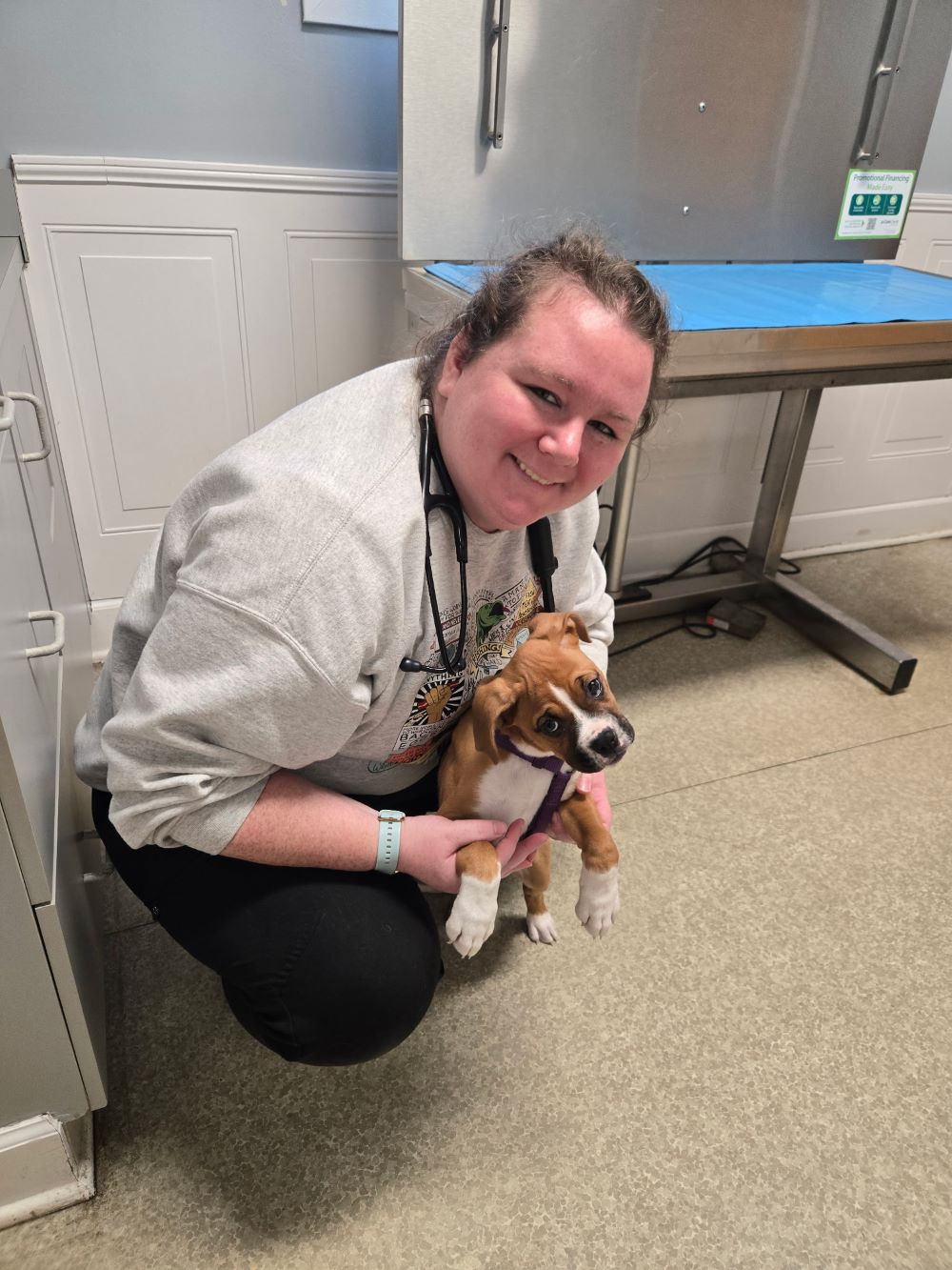 Boxer Puppy with Staff Member