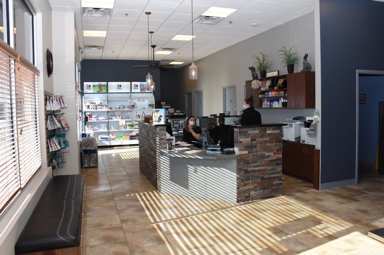 Gallery Lake Street Animal Hospital   Lake Lobby 