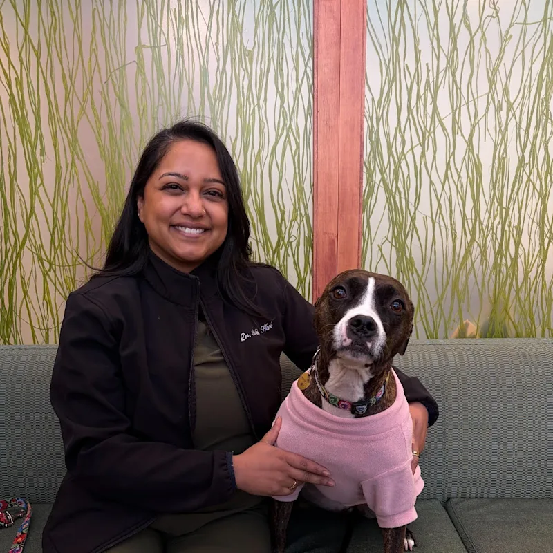 Dr. Aarthi Hari Dr. Aarthi Hari