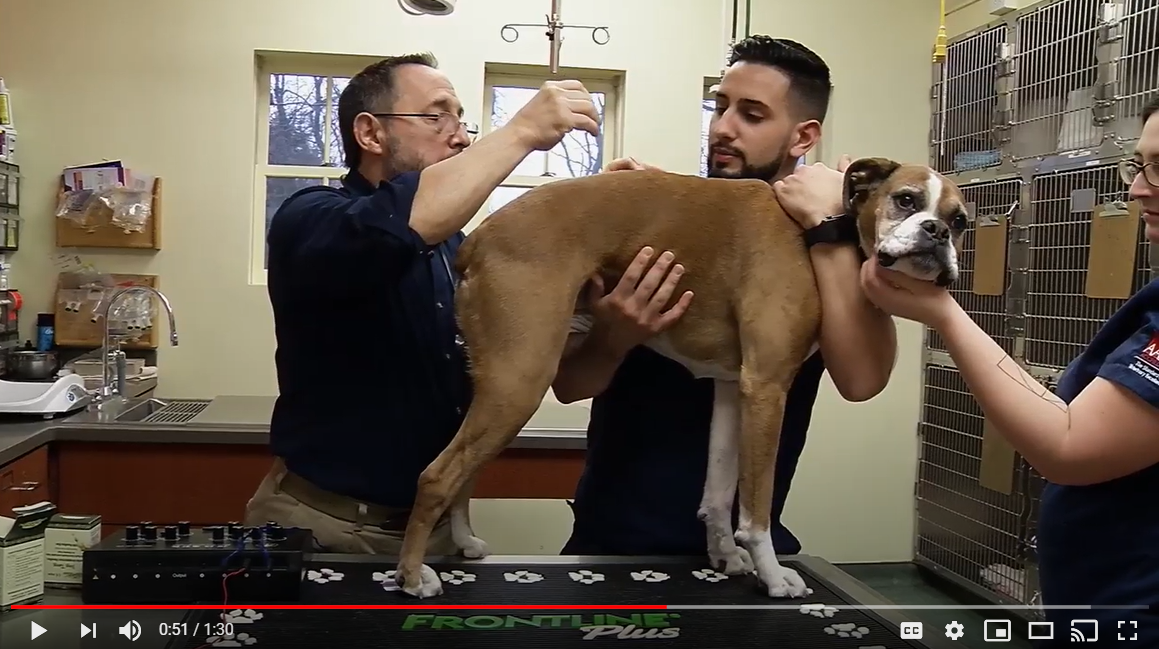 Princeton and Carnegie Video