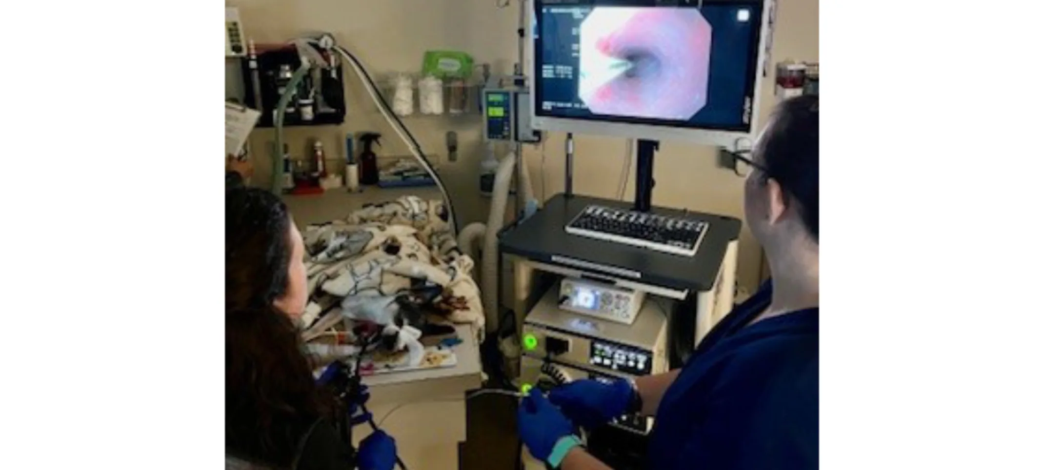 A doctor looking into a microscope A doctor looking into a microscope