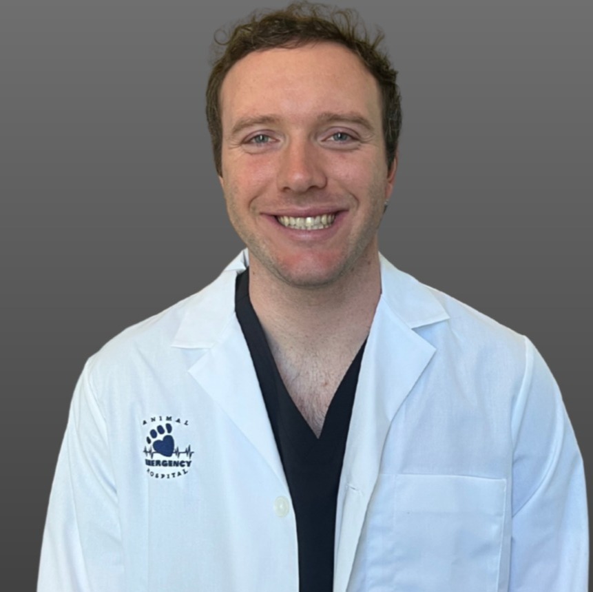 Dr. Noah McNaughton