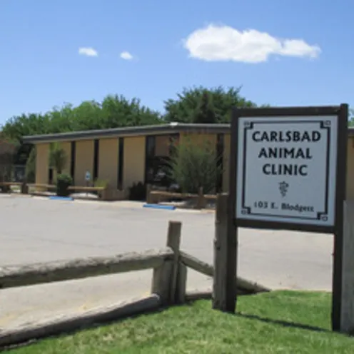 Carlsbad Animal Clinic Hospital Sign Carlsbad Animal Clinic Hospital Sign