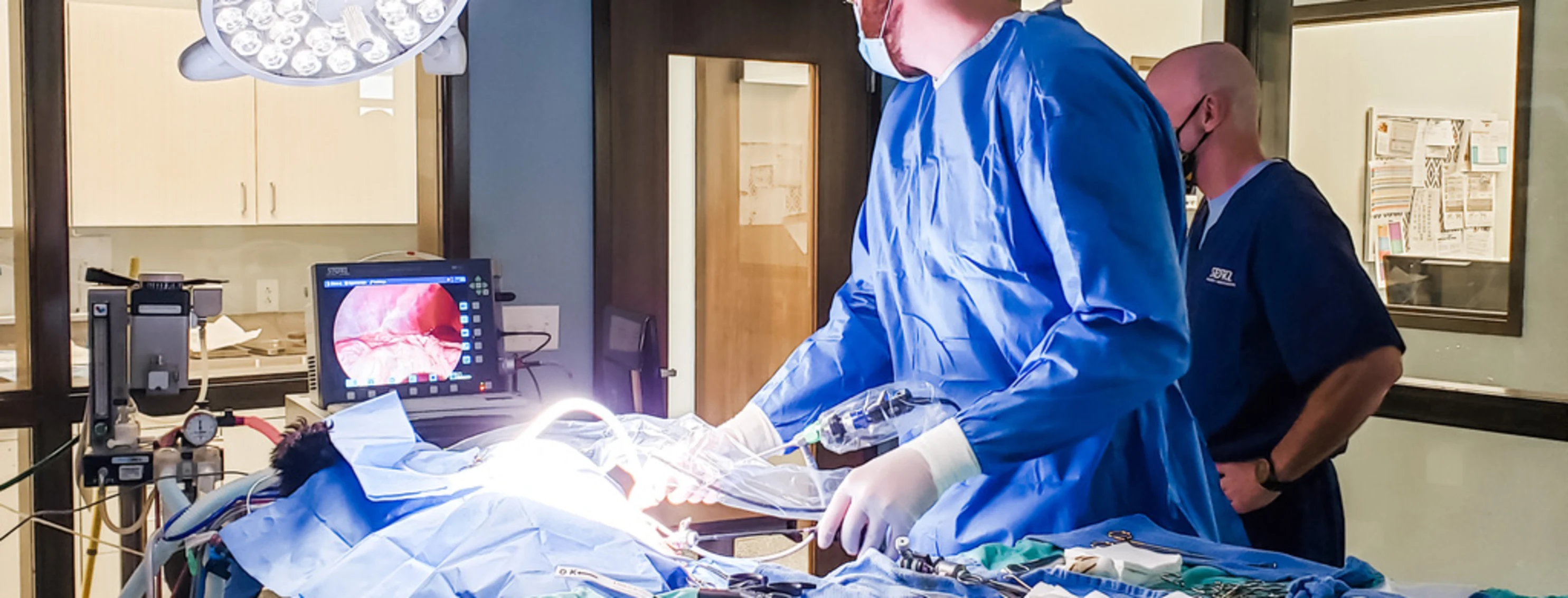 laparoscopic surgery at Park West Veterinary associates laparoscopic surgery at Park West Veterinary associates