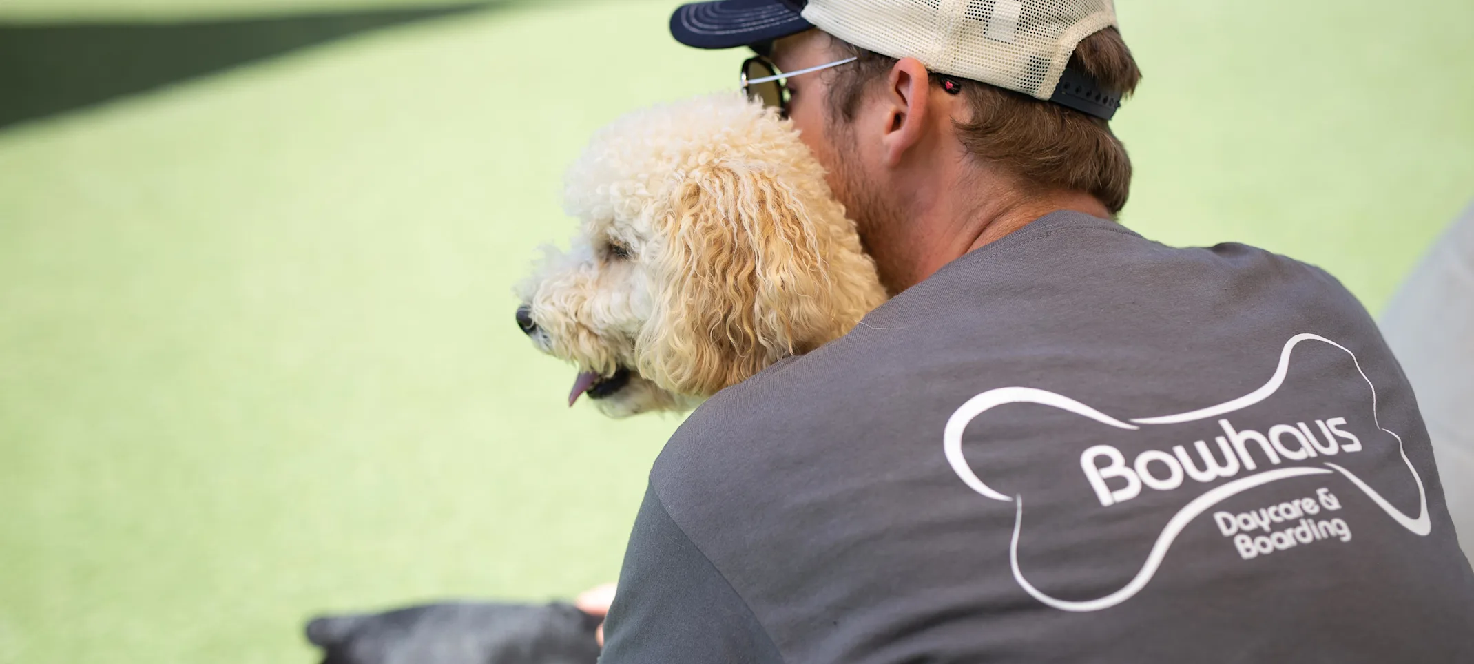 Staff holding dog Staff holding dog