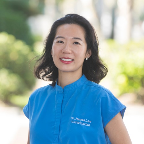 Hanna Lee, DVM