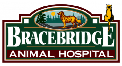 Bracebridge Animal Hospital Logo