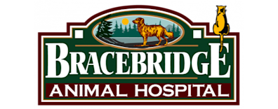Bracebridge Animal Hospital Logo Bracebridge Animal Hospital Logo