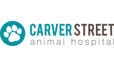 Carver Street Animal Hospital-HeaderLogo