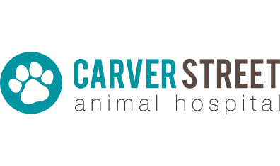 Carver Street Animal Hospital Logo