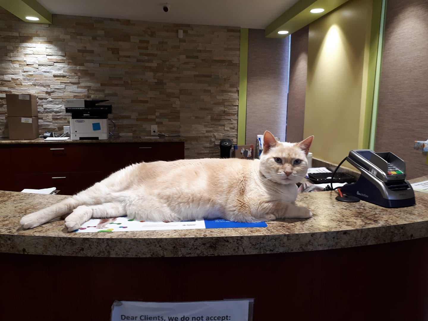 Cinnamon Front Desk