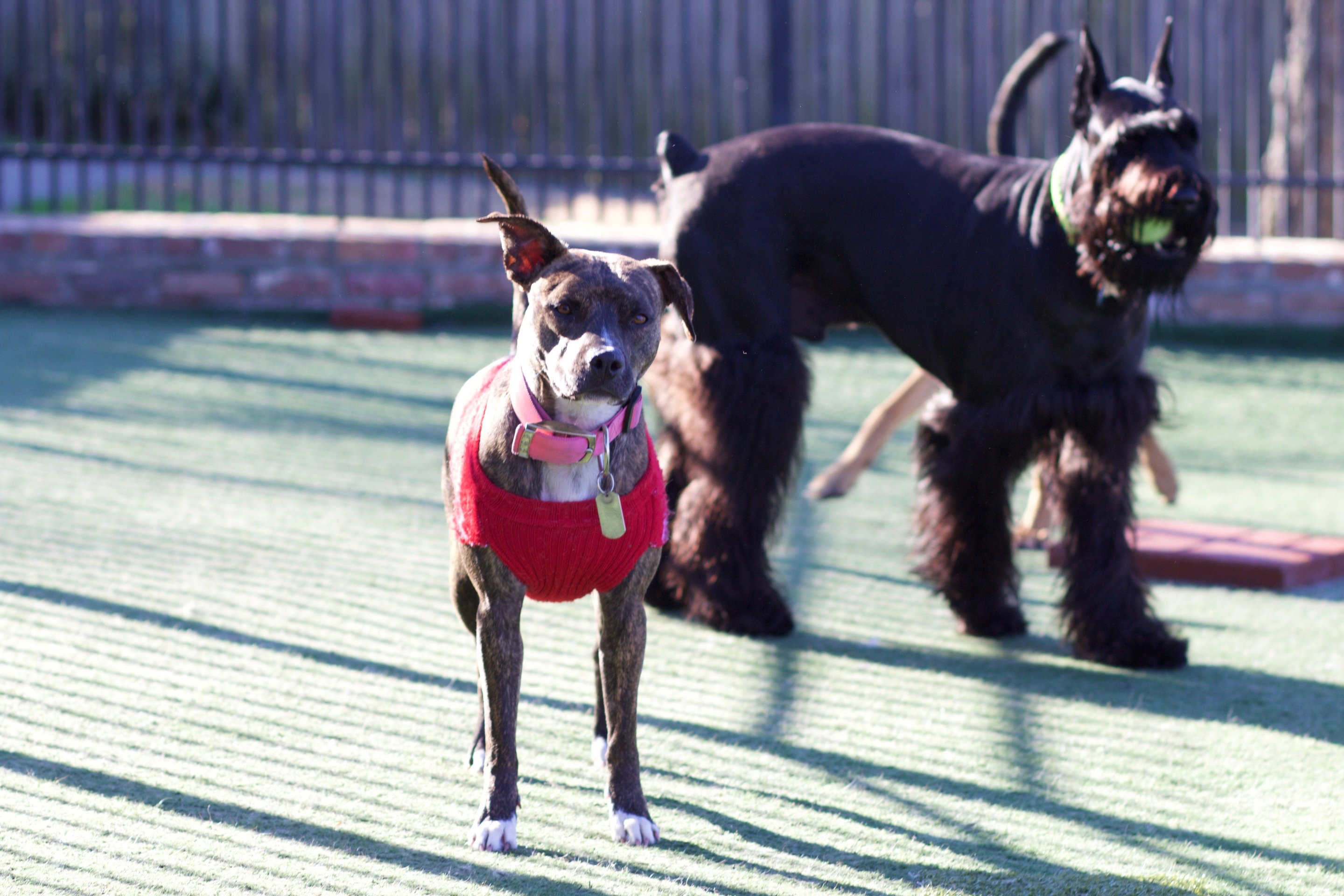  AMC of Hattiesburg Yard