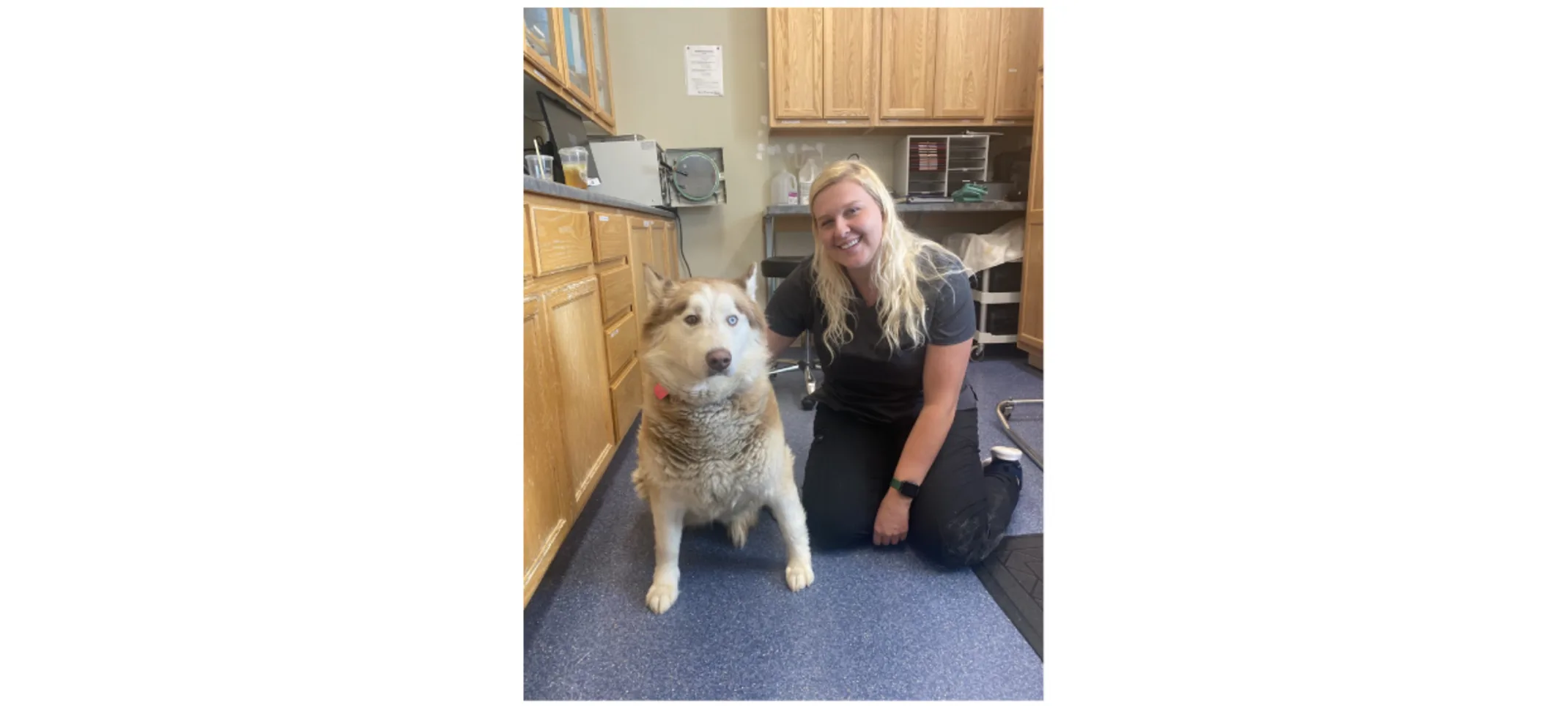 Big, fluffy, white and brown husky sitting and a blonde woman.