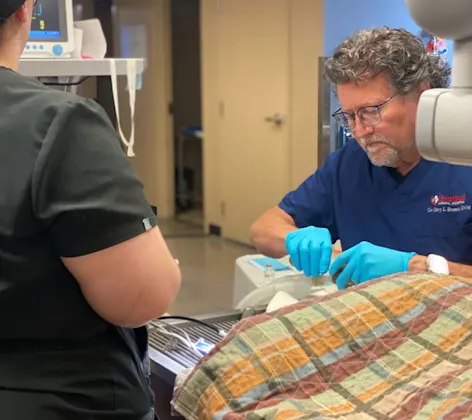 vet performing surgery on dog vet performing surgery on dog