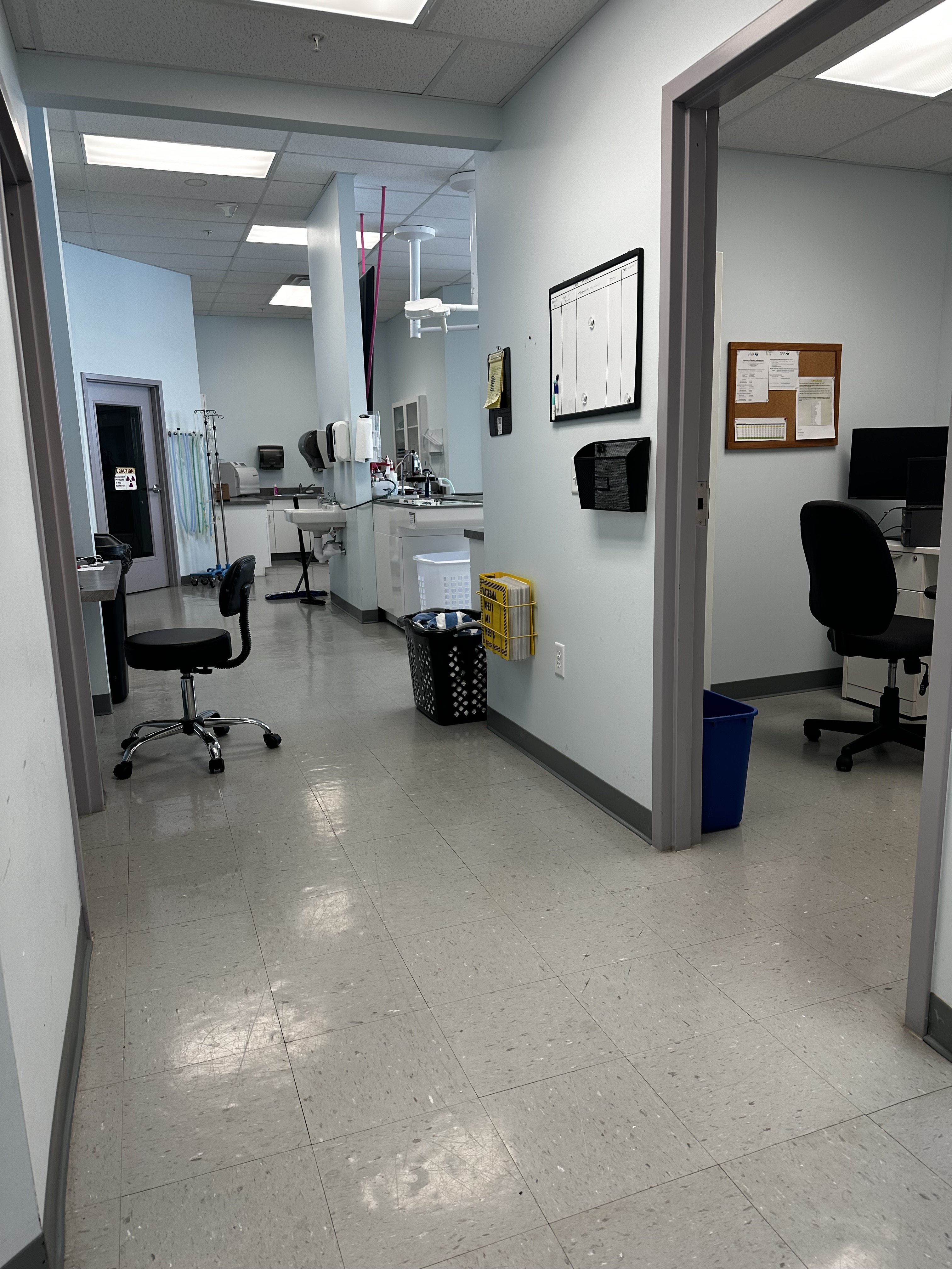 Keystone Veterinary Care Second Treatment Area 