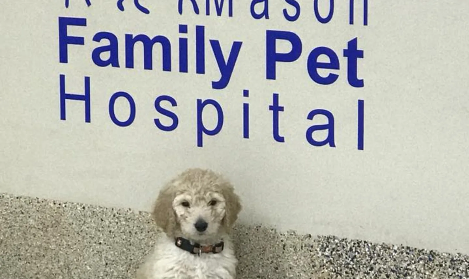 Mason Family Pet Hospital Sign