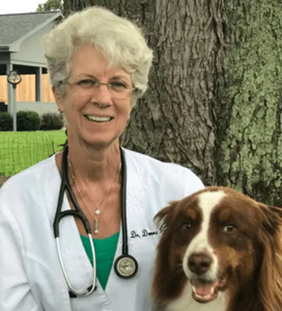 Dr. Donna Piercy Dr. Donna Piercy