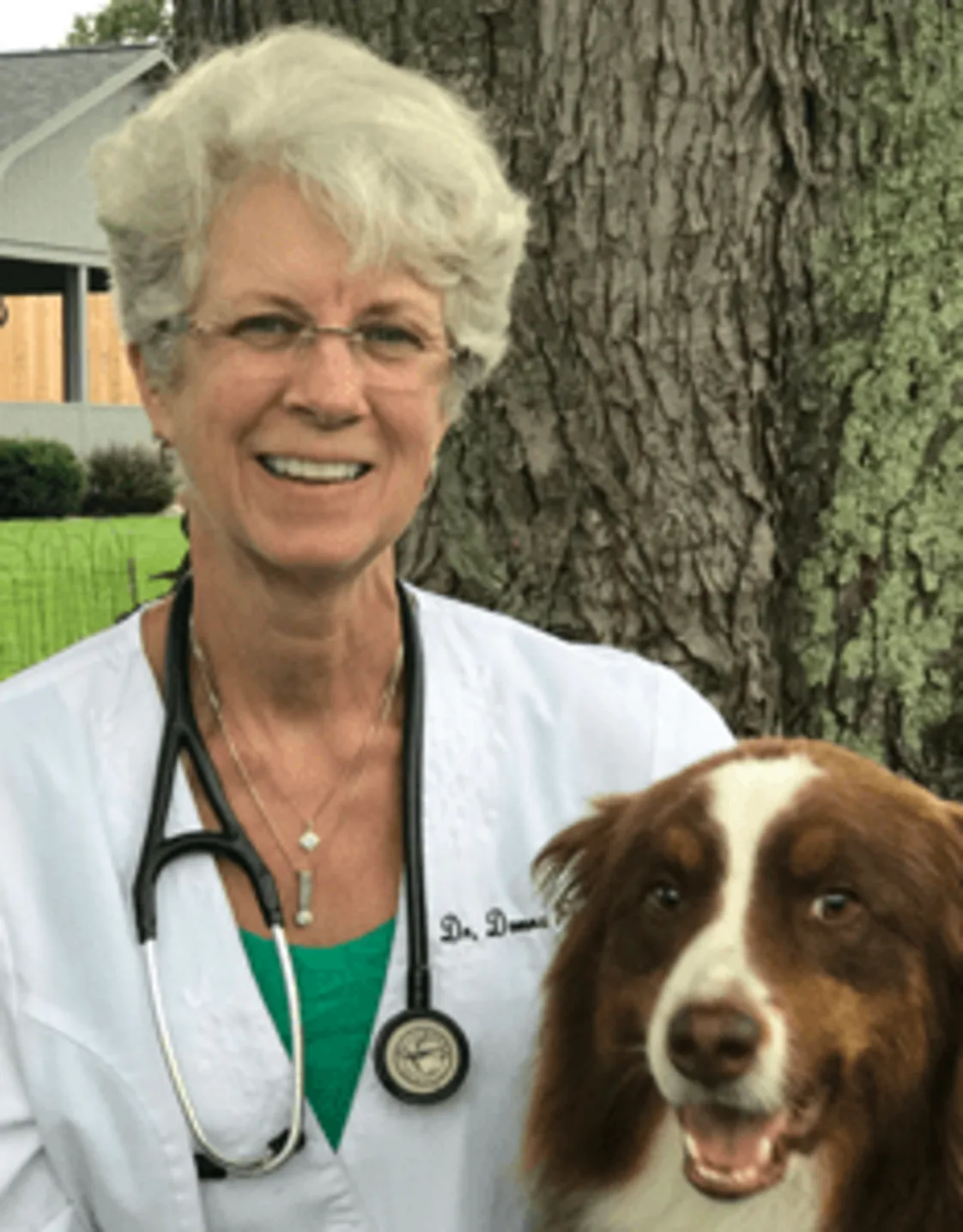 Dr. Donna Piercy Dr. Donna Piercy