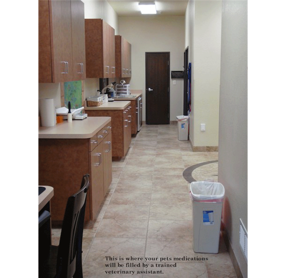 Southlake Crossing Animal Clinic Medication Station with caption saying "This is where your pet's medication will be filled by a trained veterinary assistant."