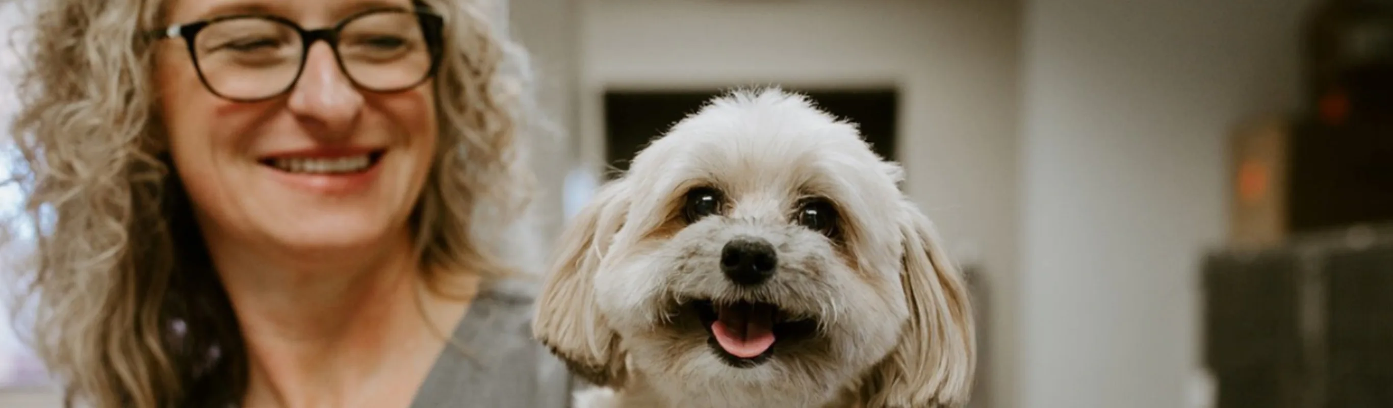 Veterinarian with Dog Smiling at Camera Veterinarian with Dog Smiling at Camera