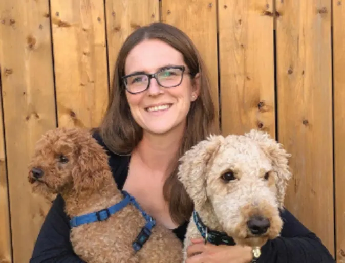 Staff with two dogs Staff with two dogs