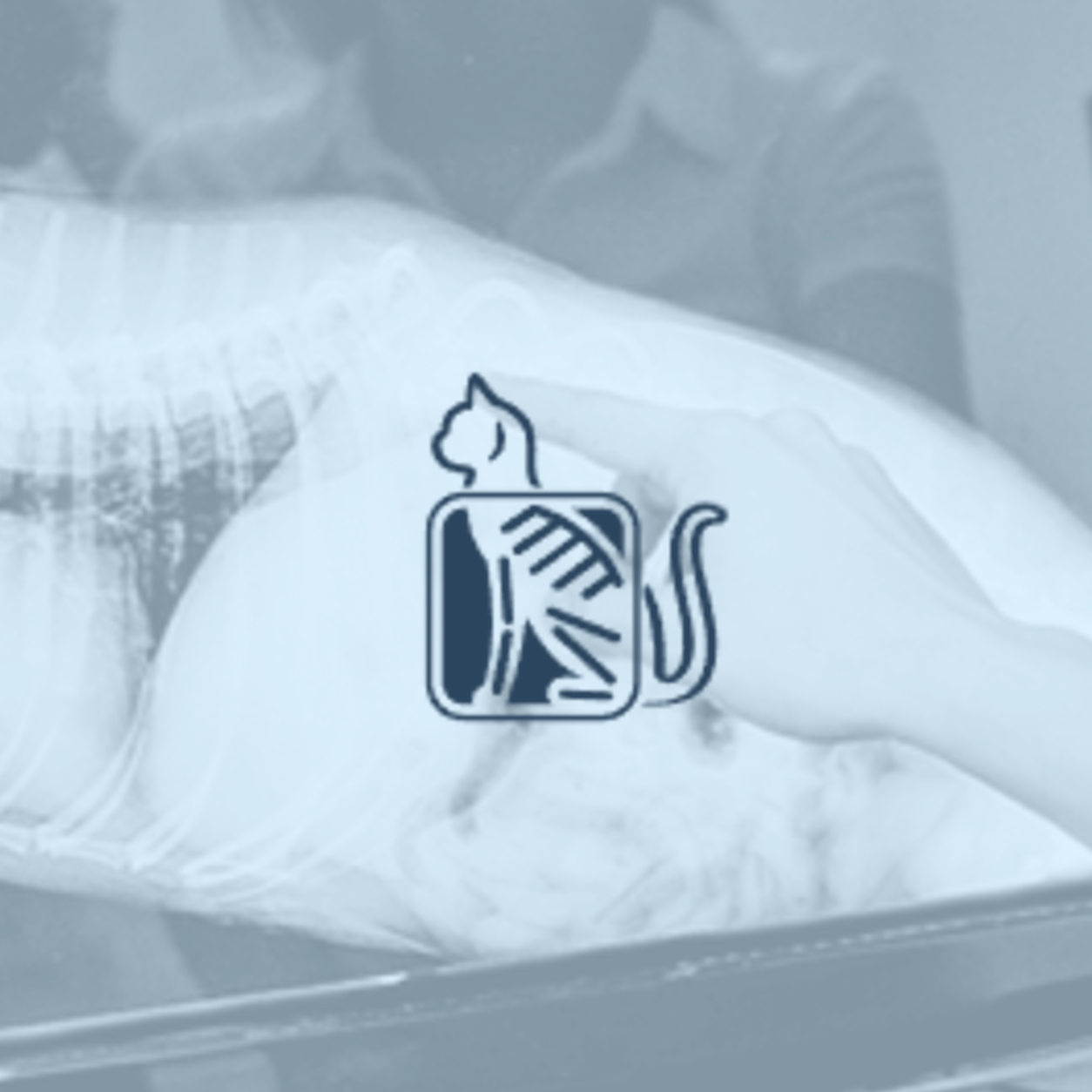 Technician pointing at an x-ray and a cat x-ray logo