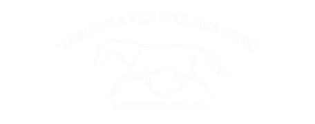 Virginia Equine Imaging  Logo Virginia Equine Imaging  Logo