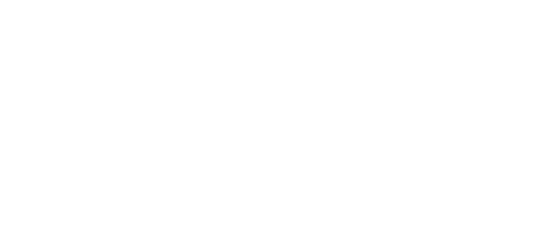 All city pet care sales emergency hospital