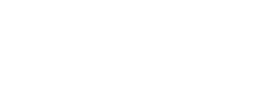 All City Pet Care Veterinary Emergency Hospital-FooterLogo