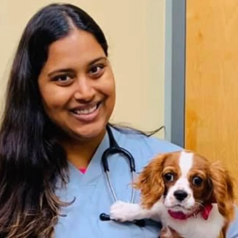 Jaya Kochenburger photo for Valley Cottage Animal Hospital Jaya Kochenburger photo for Valley Cottage Animal Hospital