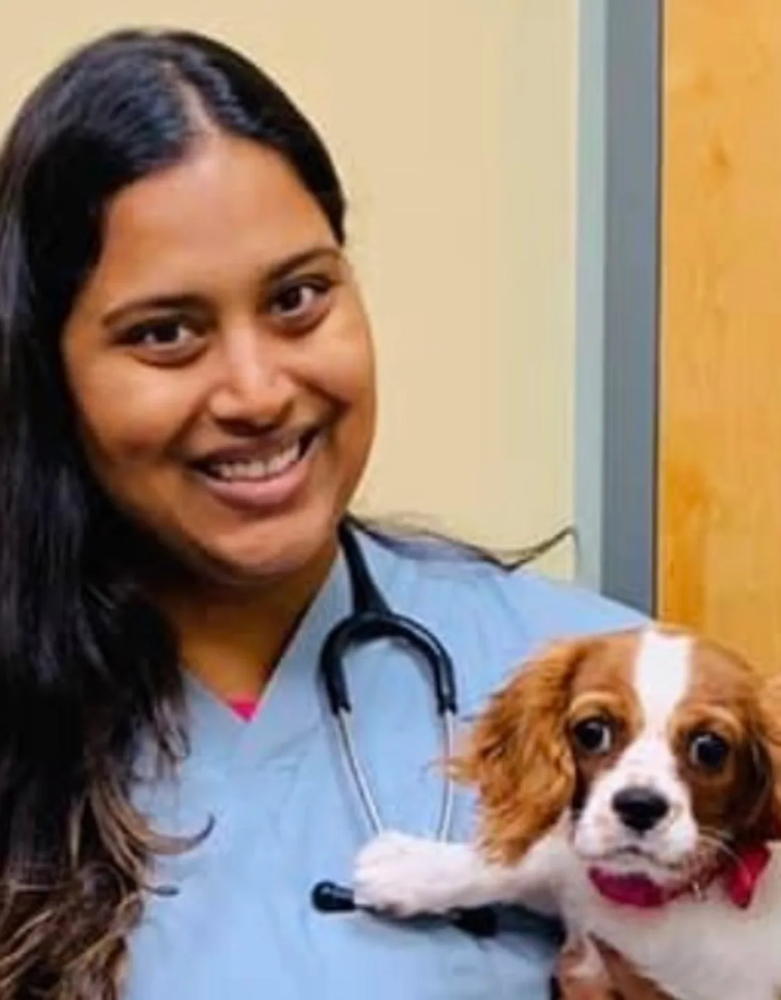 Jaya Kochenburger photo for Valley Cottage Animal Hospital Jaya Kochenburger photo for Valley Cottage Animal Hospital