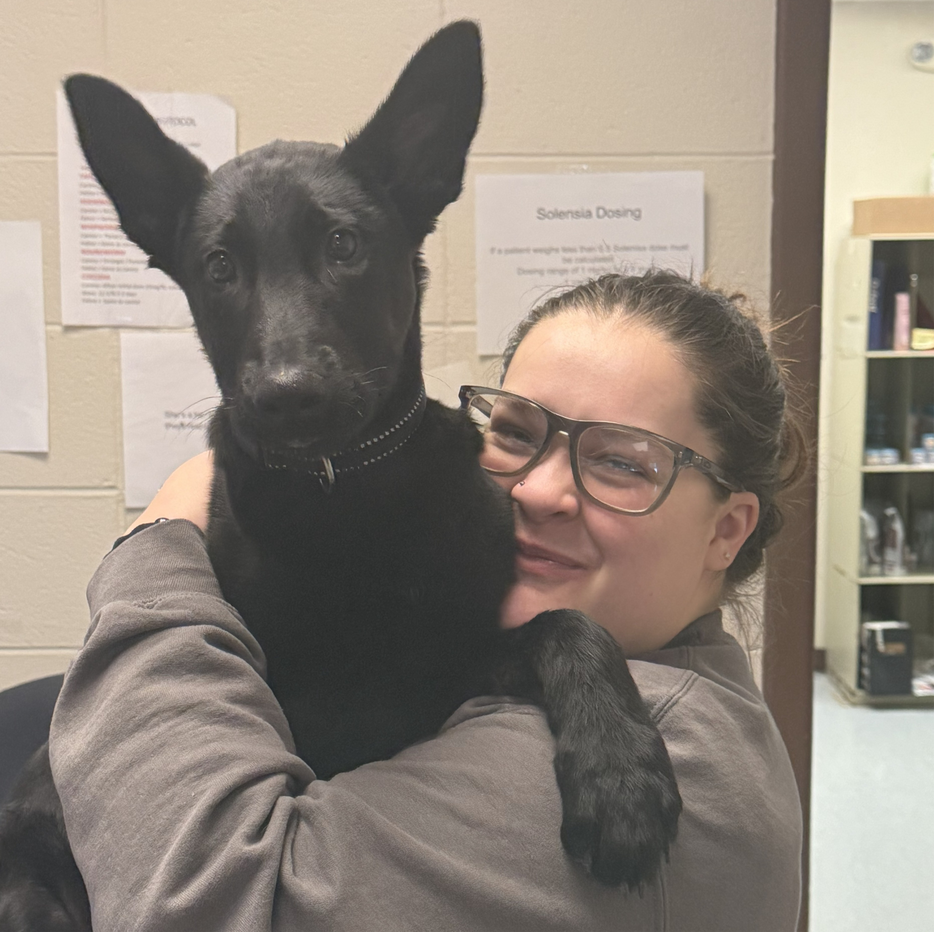 Cheyanne of the Paw Patch Place holding a brown dog