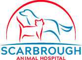 Homepage | Scarbrough Animal Hospital in Sunrise, FL