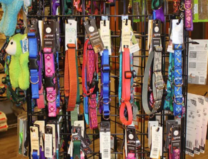 Leashes at New Haven Pet Hospital Leashes at New Haven Pet Hospital