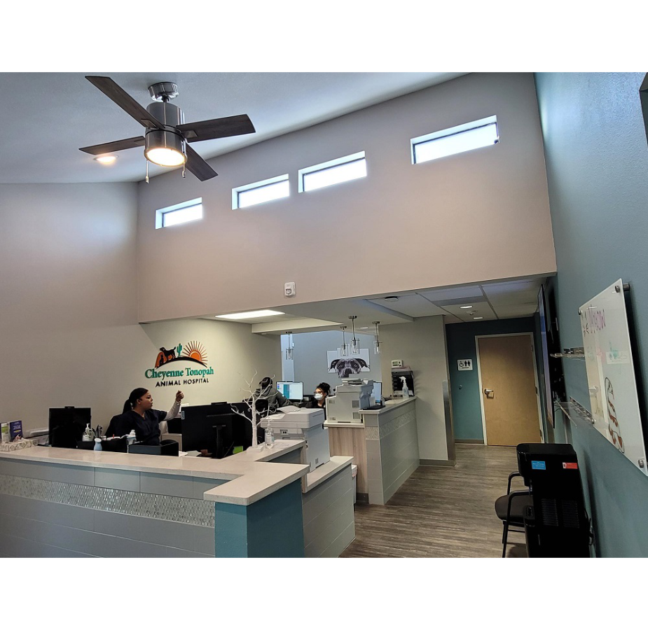 Interior of Pet Relief Area in Cheyenne Tonopah Animal Hospital
