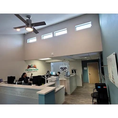 Interior of Pet Relief Area in Cheyenne Tonopah Animal Hospital Interior of Pet Relief Area in Cheyenne Tonopah Animal Hospital