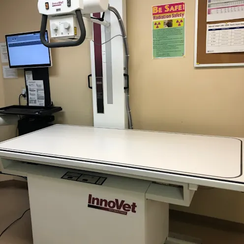 Exam Table with lab equipment Exam Table with lab equipment