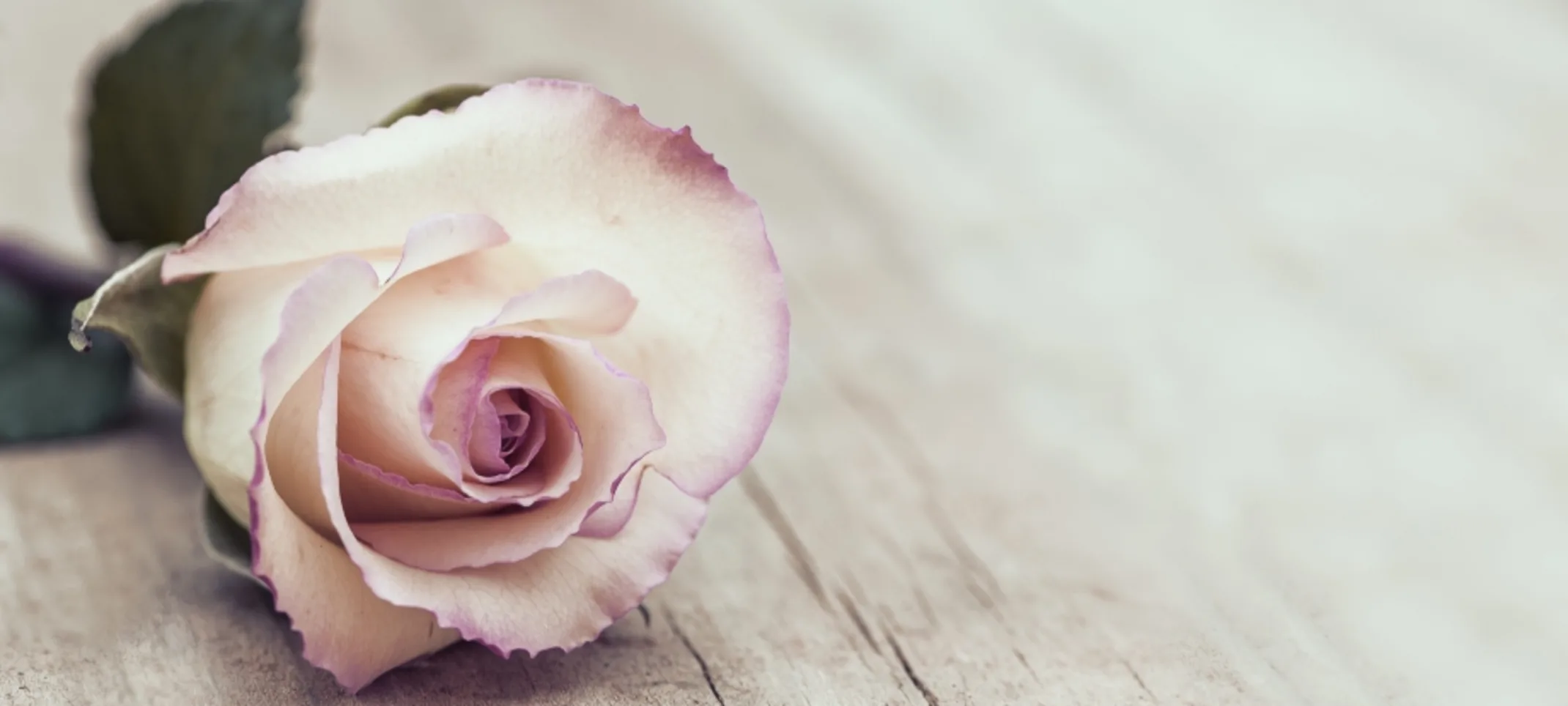 Flower place down on a piece of wood Flower place down on a piece of wood