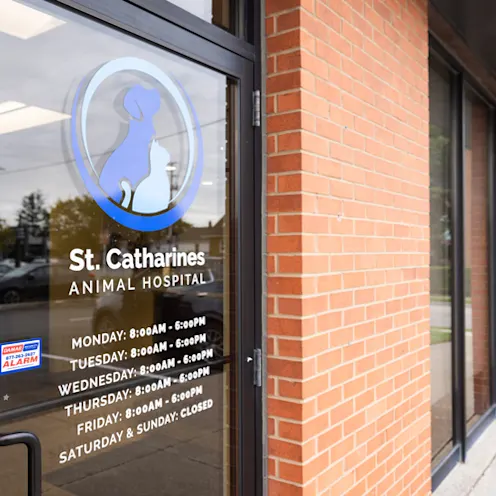 Front Door Front Door