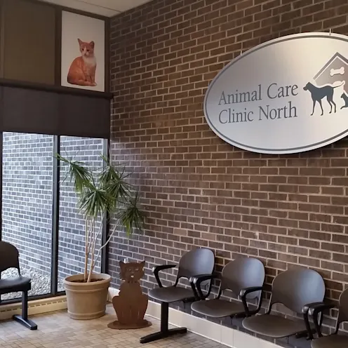 Animal Care Clinic North Animal Care Clinic North