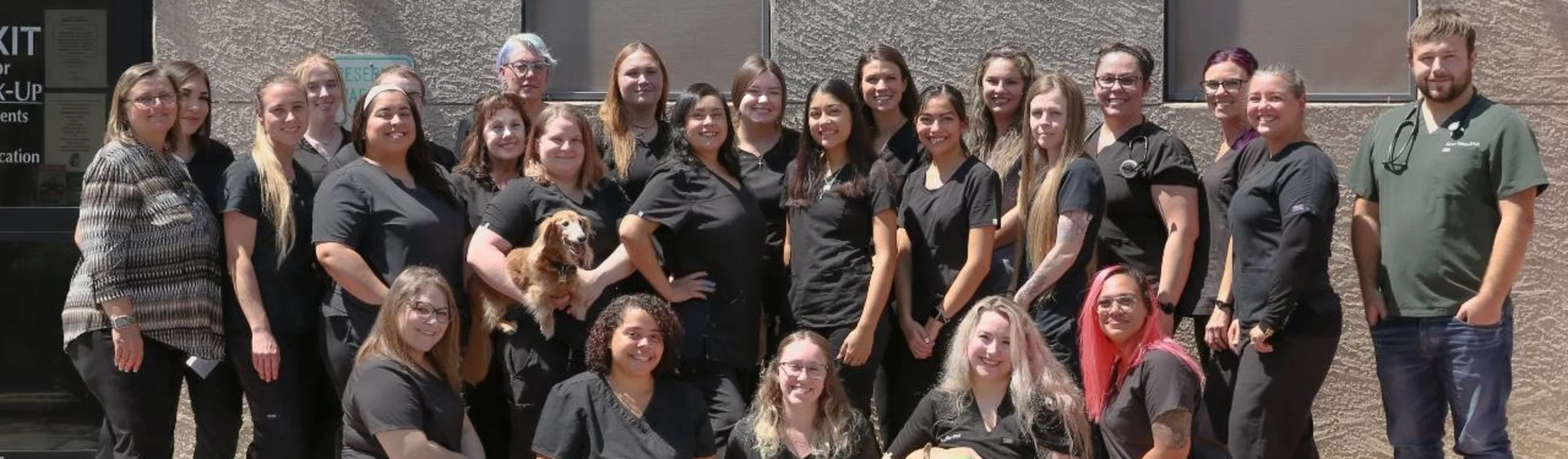 Casa veterinary team. Casa veterinary team.