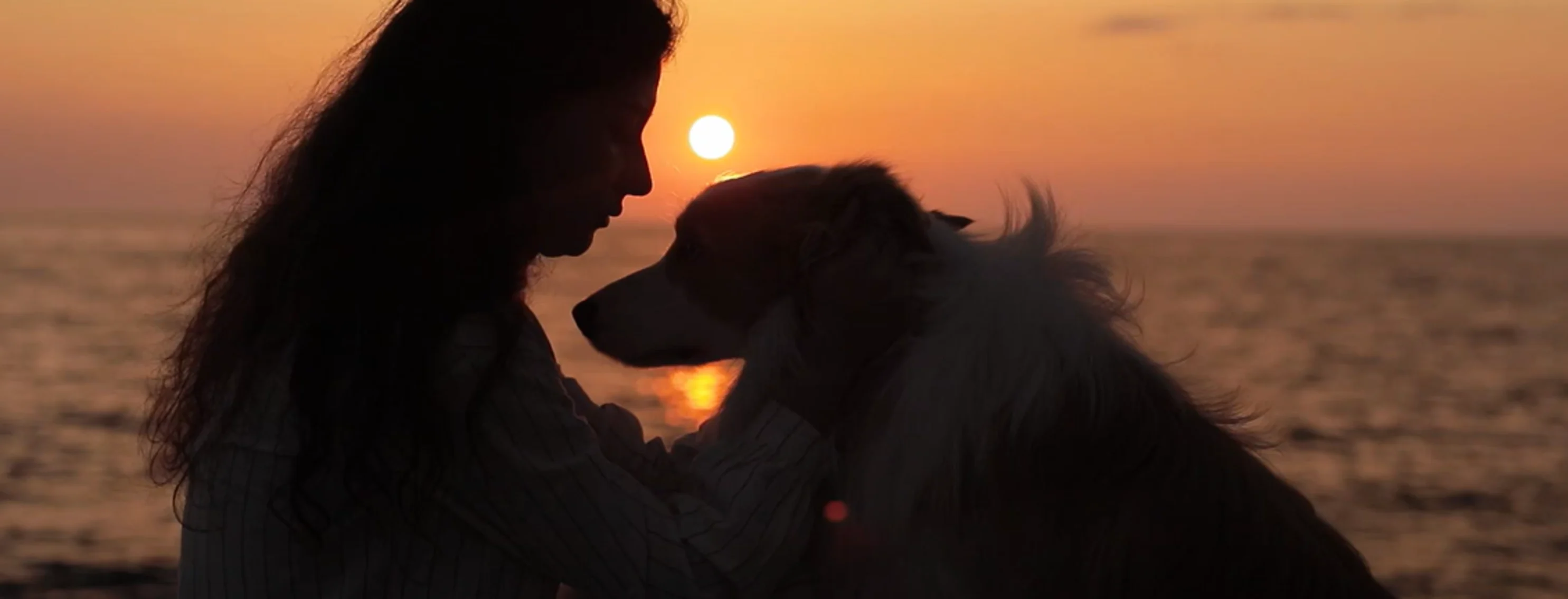 Silhouette of a girl sitting with her dog 