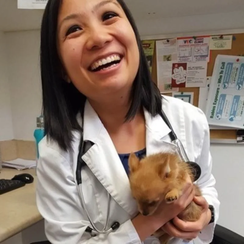 Dr. Lilla Yan Dr. Lilla Yan