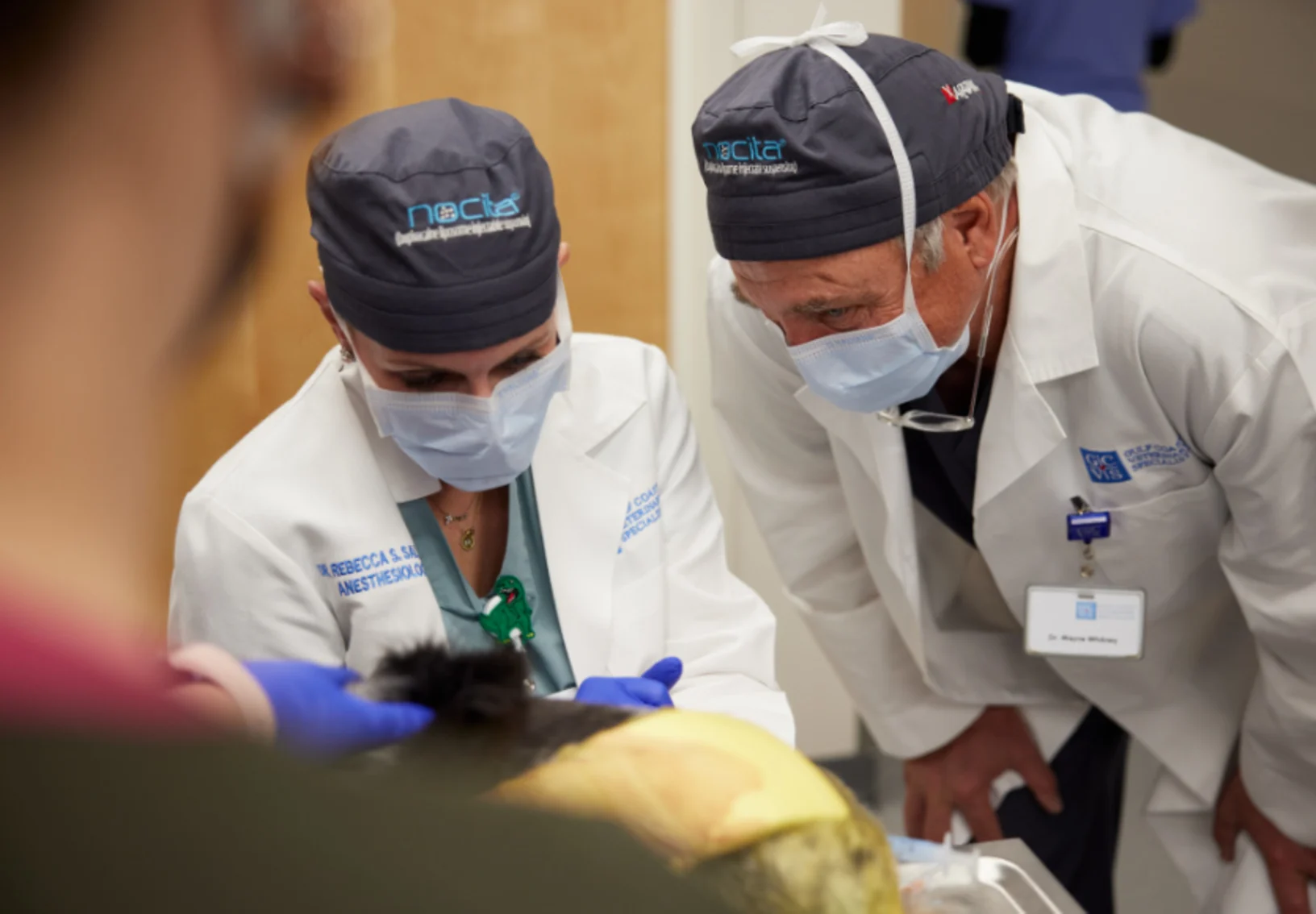 Vets intently looking at a dog that went under Vets intently looking at a dog that went under